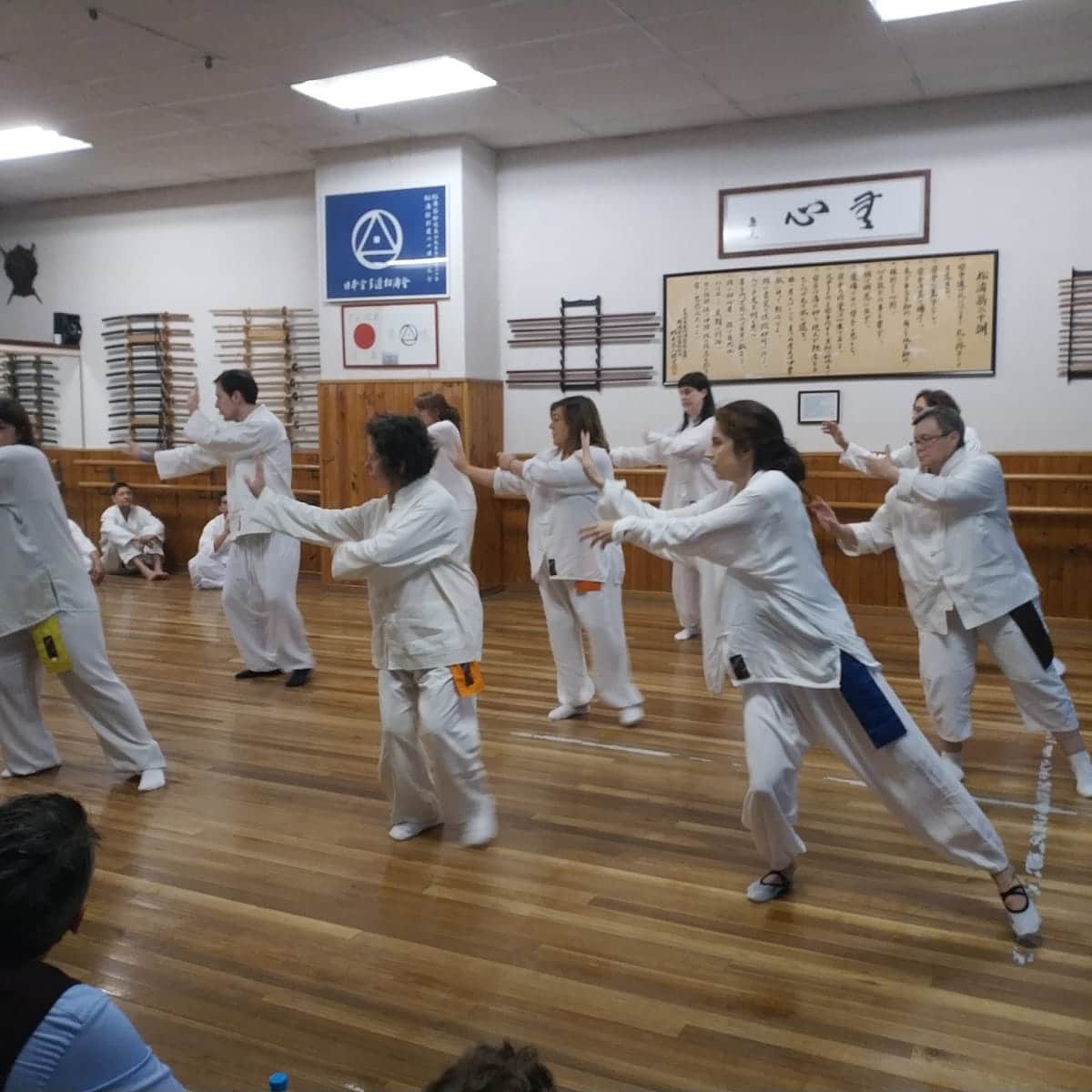 hiruma-dojo-shotokai-honbu-dojo-madrid-8